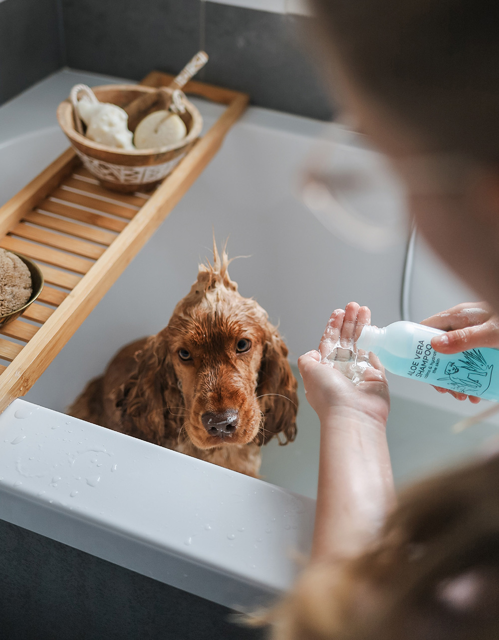 Greenfields Complete Verzorging Vacht Gezondheid Honden Greenfields Complete Verzorging Vacht Gezondheid Honden