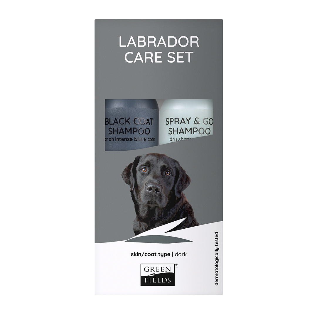 Black Labrador CareSet Black Labrador CareSet