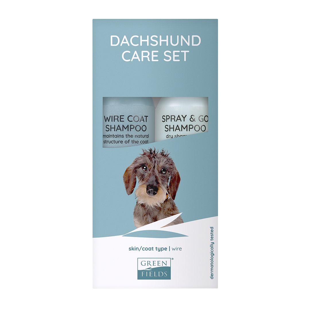 Dachshund CareSet Dachshund CareSet