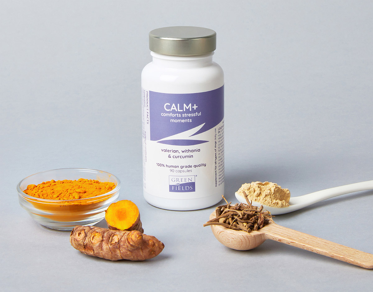 Greenfields Supplements Calm Greenfields Supplements Priobiotics