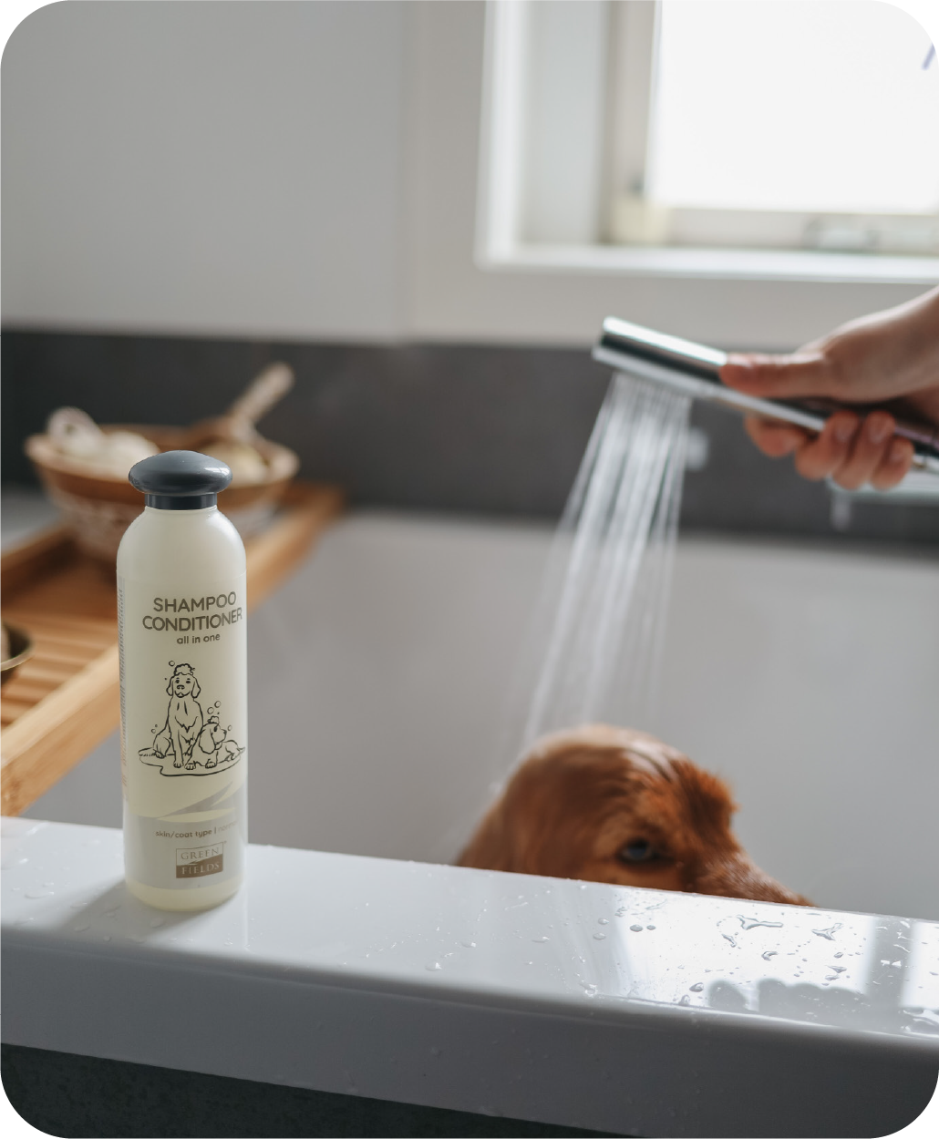 Greenfields Complete Verzorging Vacht Gezondheid Honden